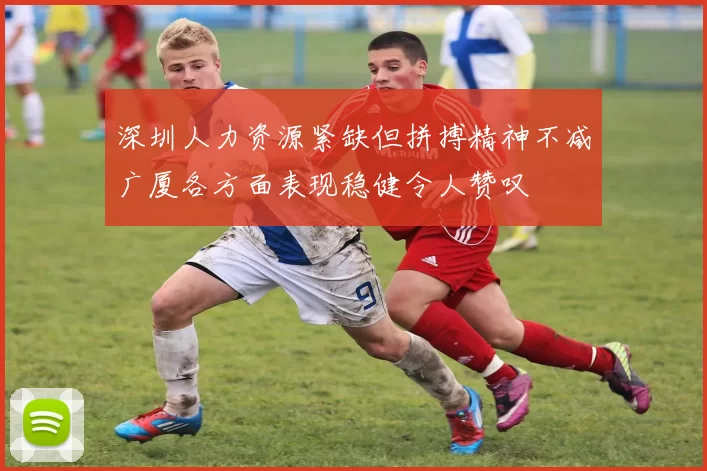 深圳人力资源紧缺但拼搏精神不减广厦各方面表现稳健令人赞叹