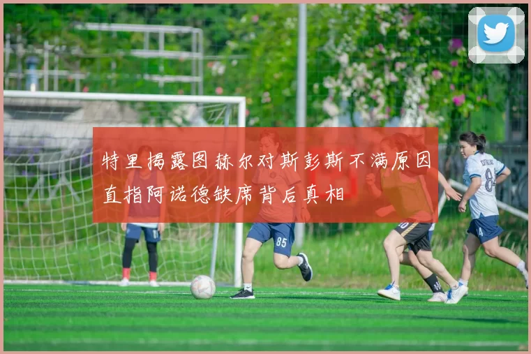 特里揭露图赫尔对斯彭斯不满原因直指阿诺德缺席背后真相